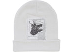 SUPREME THE NORTH FACE BEANIE (FW24) WHITE