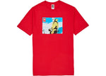 SUPREME THE NORTH FACE PHOTO TEE RED SIZE L